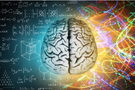 ліва і права півкуля мозку міф