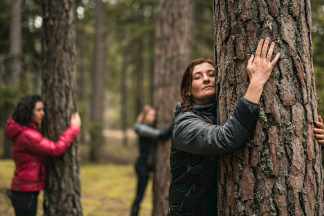 людина прогулюється в лісі під час лісової терапії